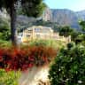 House sit pet parent - Hola - Carers/sitters required to look after our lovely animals and villa in Javea Spain - one of the most delightful parts of the Spanish Mediterranean coast.