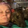 House sit pet parent - Cosy cottage in a village setting containing 36 paws!