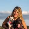 House sit pet parent - Enjoy Sarasota's Beautiful Beaches and Friendly Dog Cuddles