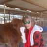 House sit pet parent - My pets need your love!  Within two hours of great places to visit!