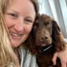House sit pet parent - Looking after Freddie :)