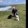 House sit pet parent - Dartmoor National Park
Lovely views across Dartmoor from our sitting room