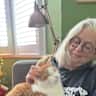 House sit pet parent - Cosy Cambridge house with two friendly cats.