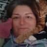 House sit pet parent - Quiet garden house with shy but cuddly cats on the UK South coast