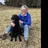 House sit pet parent - Home in Dumfries with loveable Labrador and cuddly cocker spaniel puppy