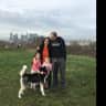 House sit pet parent - Dog-sitting two friendly huskies & two cats in garden flat - best for couple