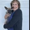 House sit pet parent - Caring sitter needed for lovely cat and dog in neighborhood near San Francisco
