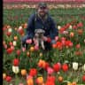 House sit pet parent - Charming Sussex with cute minitiature Schnauzer, Indy