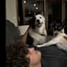 House sit pet parent - A 3legged wonder & a little rocket are looking to be cared by animal lovers