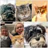 House sit pet parent - Animal lovers Kate and Alex in Kinloch