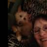 House sit pet parent - Three bedroom, two bath house in country with poultry and dog