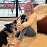 House sit pet parent - Welcome to our home in beautiful West Vancouver!