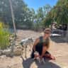 House sit pet parent - Stay in a lovely mountain Andalucian Cortijo with delightful dogs for company
