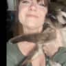 House sit pet parent - Live the small town Italian life in a historical, medieval town in central Italy