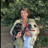 House sit pet parent - Pug Lovers Wanted for rural house sit in beautiful walking country.