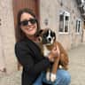 House sit pet parent - Barcelona with a boxer puppy