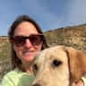 House sit pet parent - Labrador Pup in Countryside Close to Bristol City