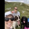 House sit pet parent - Two loving and crazy spaniel is beautiful mid Devon.