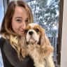 House sit pet parent - Long weekend Dog sit in Mosman, near Balmoral beach, ground floor flat with BBQ