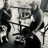 House sit pet parent - Two amazing fur babies right in the heart of Brisbane.