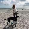 House sit pet parent - Friendly rescue greyhound in Greater London looking for cuddles and exercise