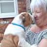 House sit pet parent - Lovely relaxing & rural on the outskirts of Peterborough. Nature & river nearby