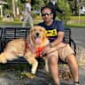 House sit pet parent - Simba’s Looking for a Friend While We Travel