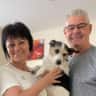 House sit pet parent - Dog sitter wanted for festive New Year time in Southend on Sea, UK for 10 days.