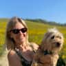House sit pet parent - Anne-Marie has three senior Jack Russell’s in need of company and cuddles.
