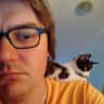 House sit pet parent - Independent cat in Sydney's inner west.