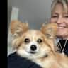House sit pet parent - Comfortable home and 2.5 acre garden - perfect for humans and dogs!
