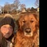 House sit pet parent - Lovable, goofy 4 year old Golden Retriever needs sitter while his family is away