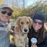 House sit pet parent - Relaxing Ocean-Side Stay With a Sweet, People-Loving Golden Retriever