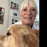 House sit pet parent - Come stay in a modern apartment with adorable dog and cats.