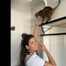 House sit pet parent - 48m2 of dreamy roof top summer vibes, with my bengal cat frida.
