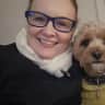 House sit pet parent - Affectionate Cavoodle who loves company and just wants to be part of the action.