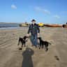 House sit pet parent - Holiday cover for two black Labradors