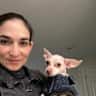 House sit pet parent - Stay in a quiet Central Jersey Townhouse with loving little dog company