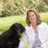 House sit pet parent - Active dog sitter
