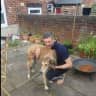 House sit pet parent - Luke the Saluki + Victorian Sheffield terrace :)