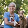 House sit pet parent - Two terriers who would love to hang out with you!
