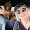 House sit pet parent - A doodle and a poodle; a cozy bungalow; scenic, walkable area; close to downtown