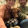 House sit pet parent - Escape to rural paradise with the added bonus of a beautiful red fox labrador