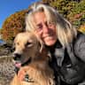 House sit pet parent - Come stay with Pippi the Golden in beautiful Portland Maine!