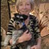 House sit pet parent - Sweet mini schnauzer near Birmingham, AL needs a companion for a weekend in Sept