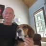 House sit pet parent - Enjoy the summer with sitting super friendly beagle in the Blue Ridge mountains
