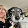 House sit pet parent - My home is a beautiful Victorian Terraced house in the ocean city of Plymouth.