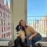 House sit pet parent - Seeking couple to care for our dog. Experience with big dogs required.