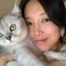 House sit pet parent - Cat sitter