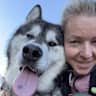 House sit pet parent - Enjoy a lovable Nordic dog in nature and the mountains